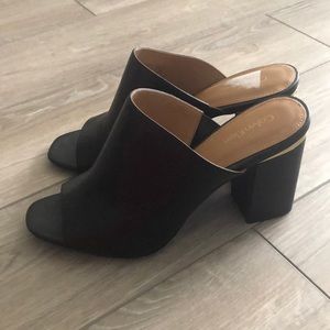 Black Leather Calvin Klein mules
